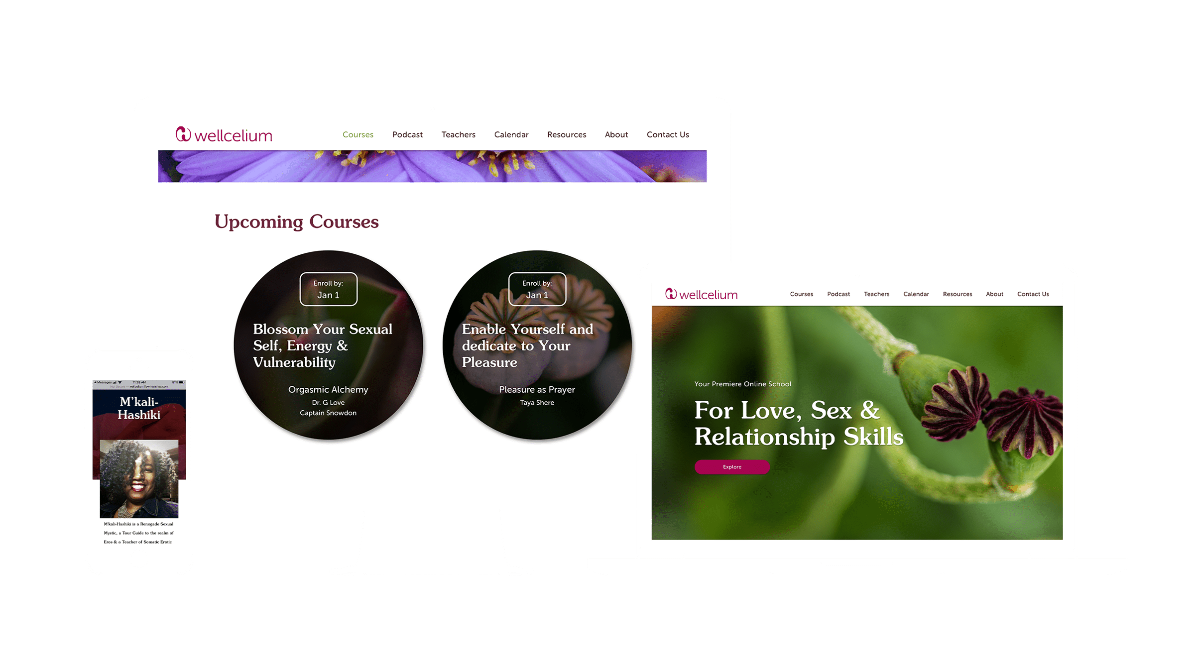 Wellcelium - Copywriting, Digital Marketing, Marketing Consulting, Website Design